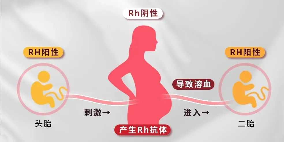 弓形子宮做試管,怎么讓胚胎更容易著床